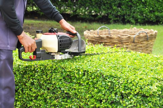 At Domestic Gardens and Lawns, we have the professional tools and experience to get your hedge looking great again.