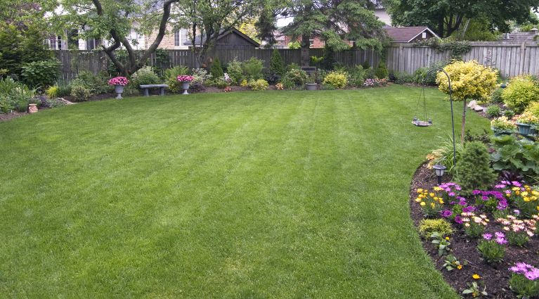 Let us do the lawn mowing while you do something you love.